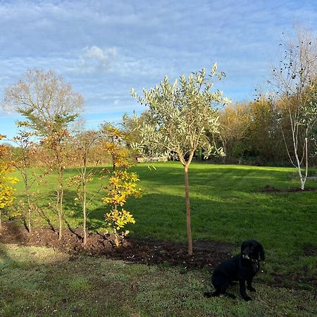 הוילה Hailey Idyllic Secluded Hideaway With Countryside Views On The Edge Of The Cotswolds מראה חיצוני תמונה