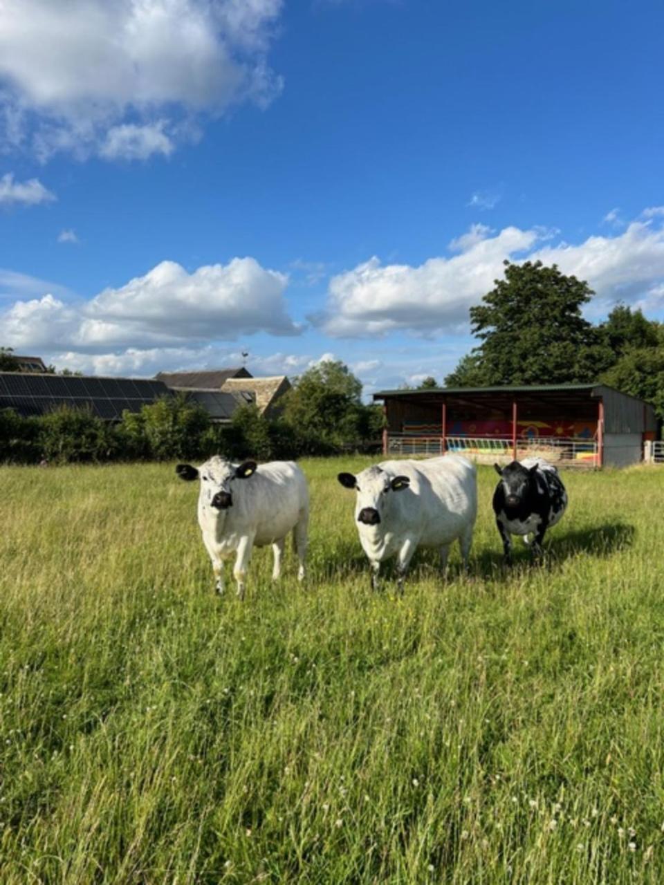 הוילה Hailey Idyllic Secluded Hideaway With Countryside Views On The Edge Of The Cotswolds מראה חיצוני תמונה