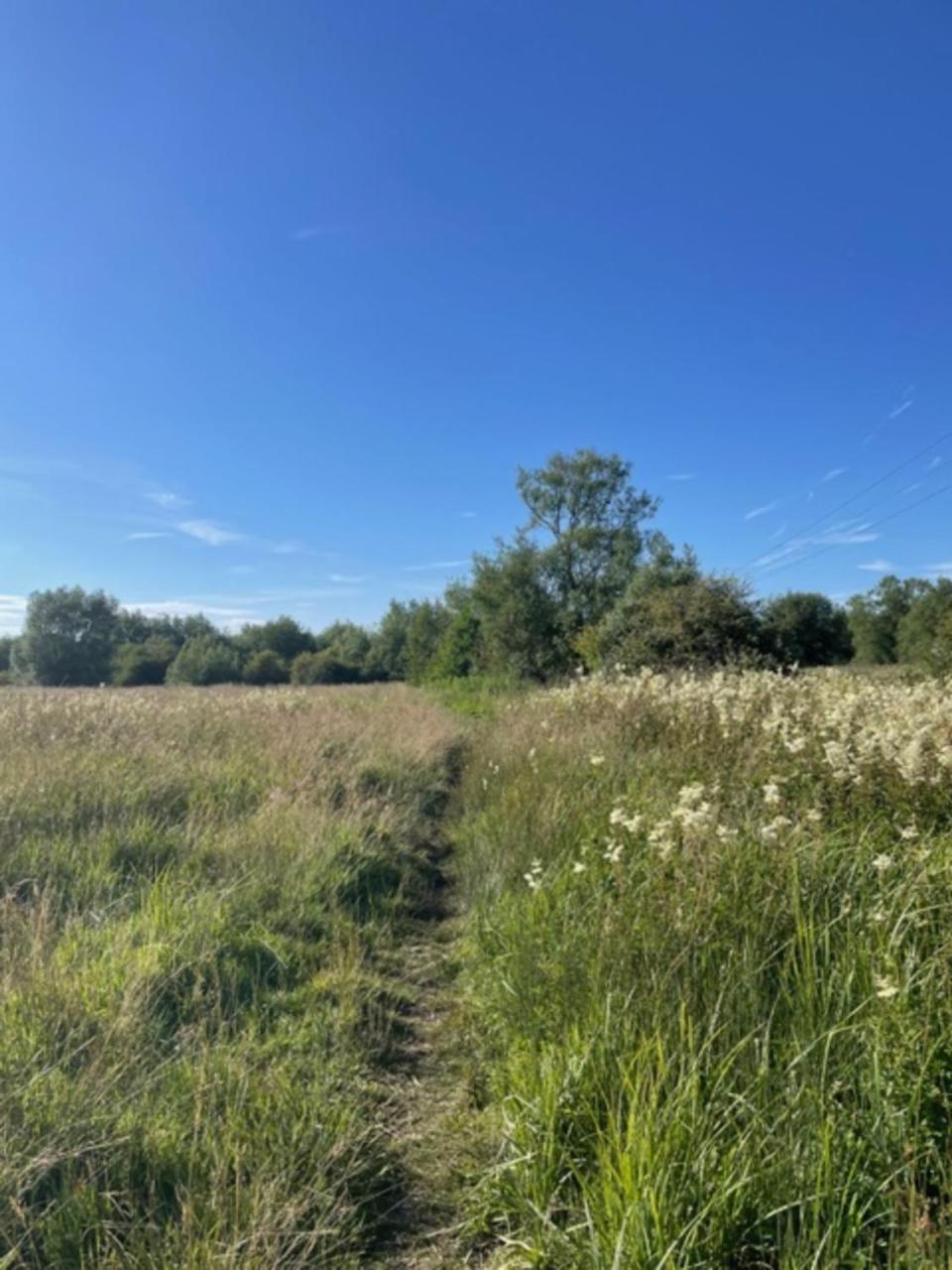 הוילה Hailey Idyllic Secluded Hideaway With Countryside Views On The Edge Of The Cotswolds מראה חיצוני תמונה