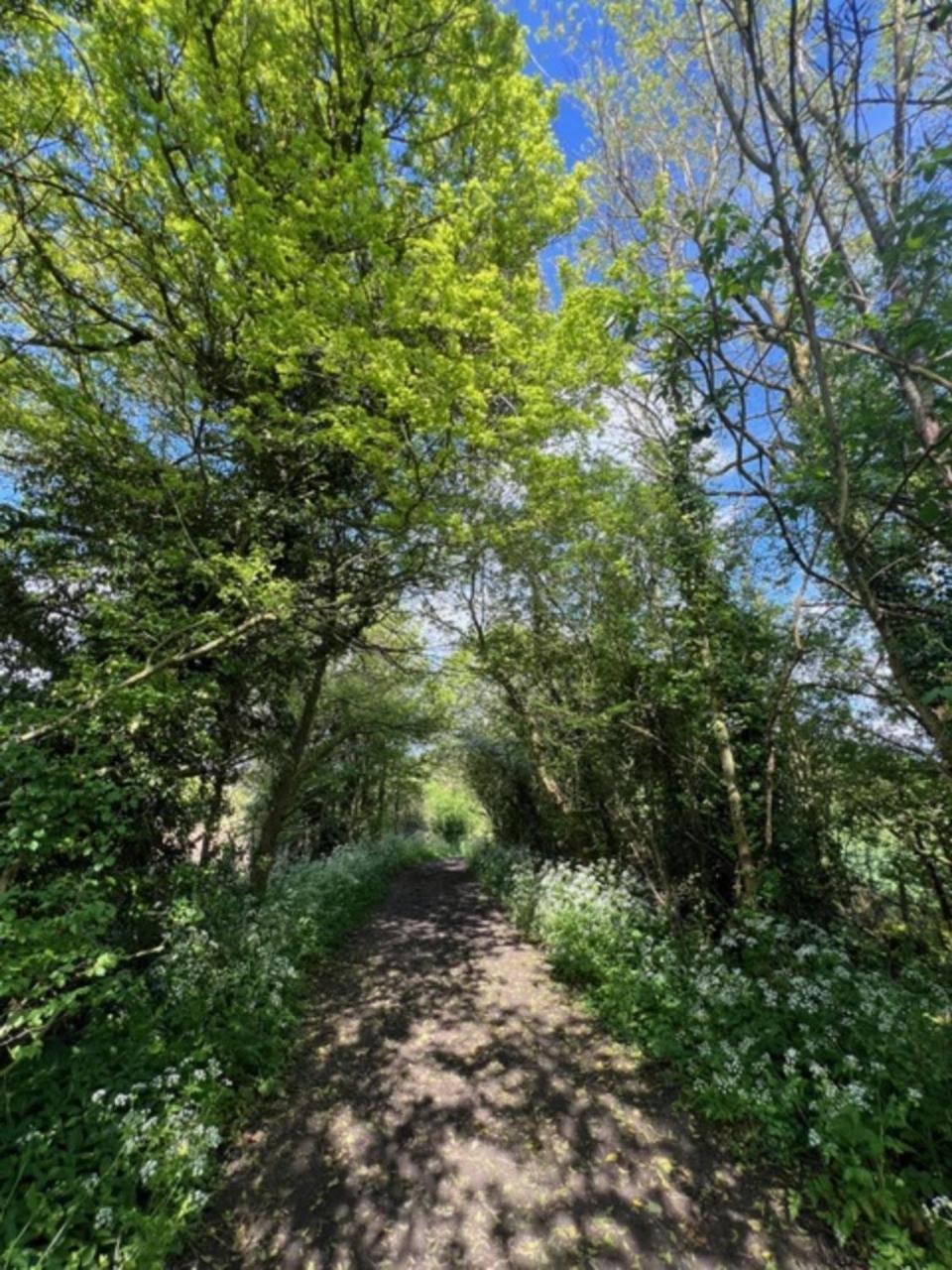 הוילה Hailey Idyllic Secluded Hideaway With Countryside Views On The Edge Of The Cotswolds מראה חיצוני תמונה