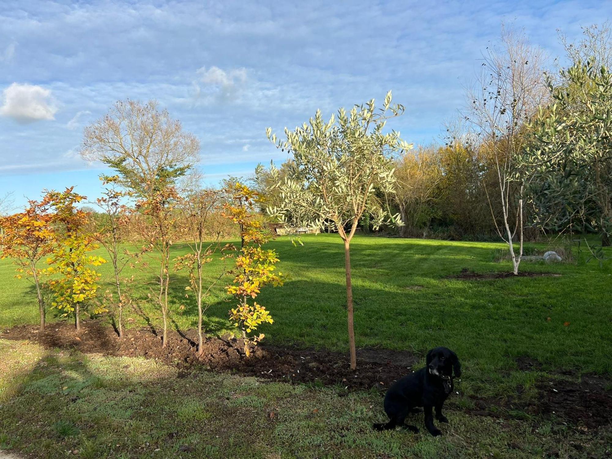 הוילה Hailey Idyllic Secluded Hideaway With Countryside Views On The Edge Of The Cotswolds מראה חיצוני תמונה